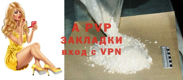 каннабис Новозыбков