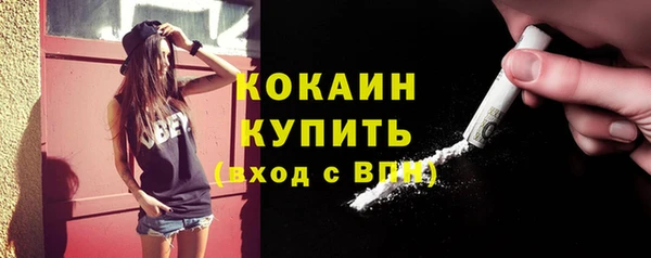 каннабис Новозыбков