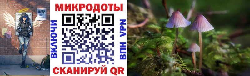Галлюциногенные грибы Psilocybine cubensis Усть-Джегута