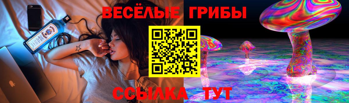 Галлюциногенные грибы ЛСД Усть-Джегута
